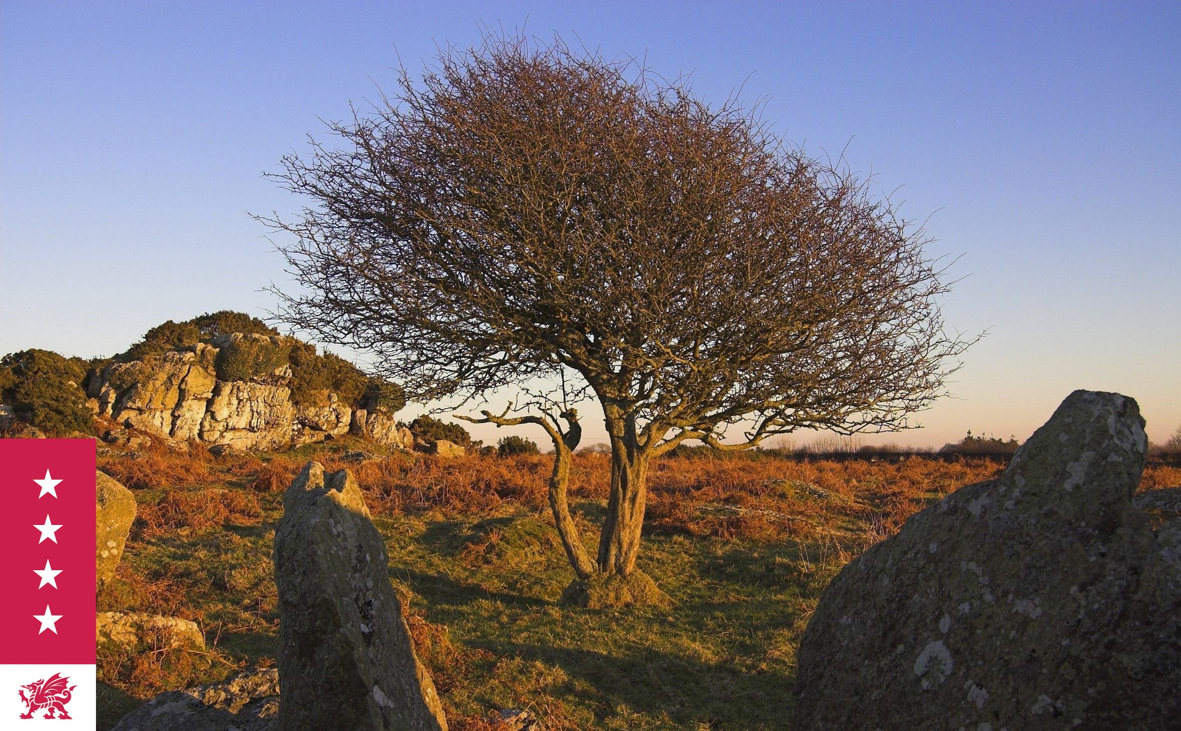 Ancient landscapes and rock formations in Pembrokeshire